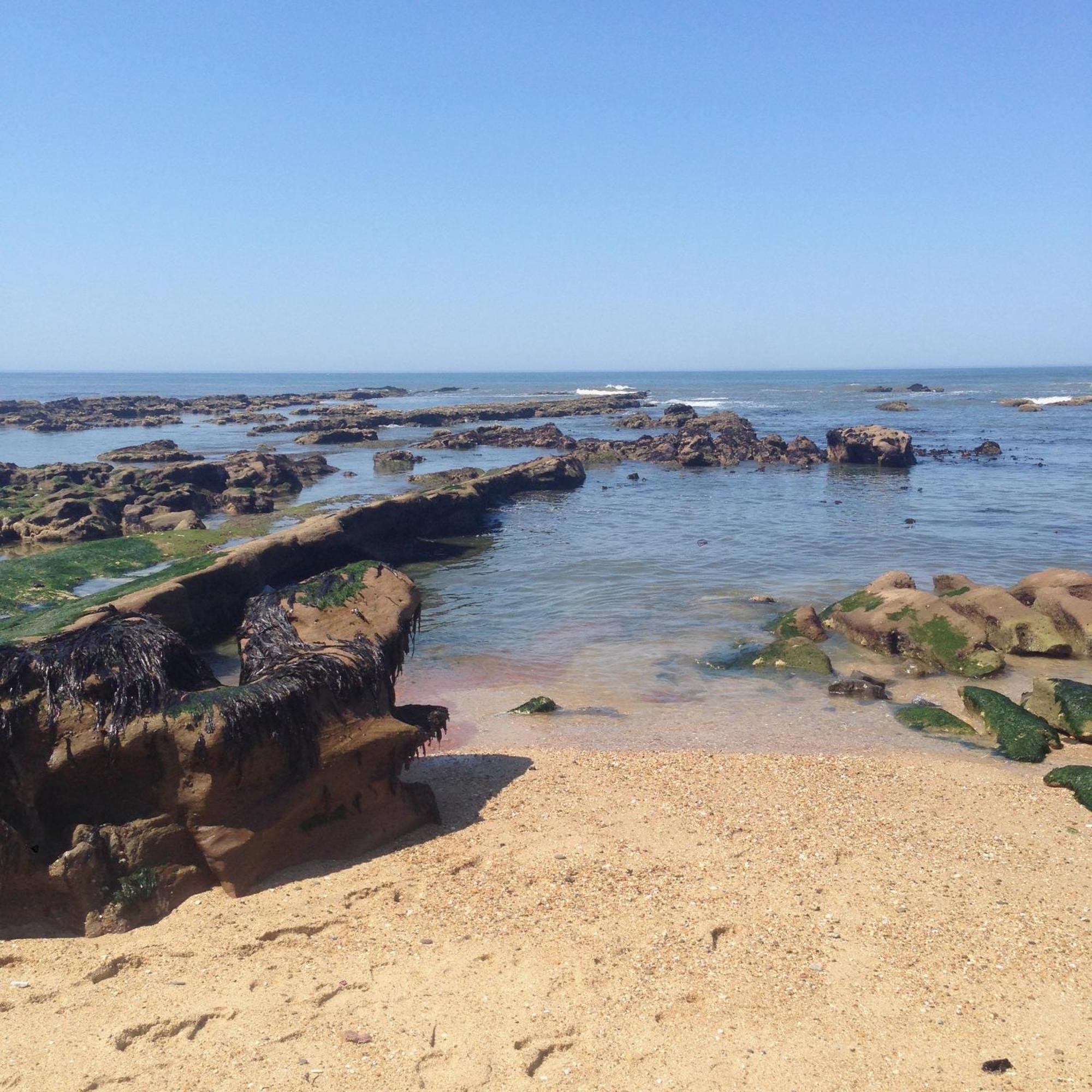 Rosario - Two Bedroom Apart- Buarcos - Figueira Da Foz Zewnętrze zdjęcie