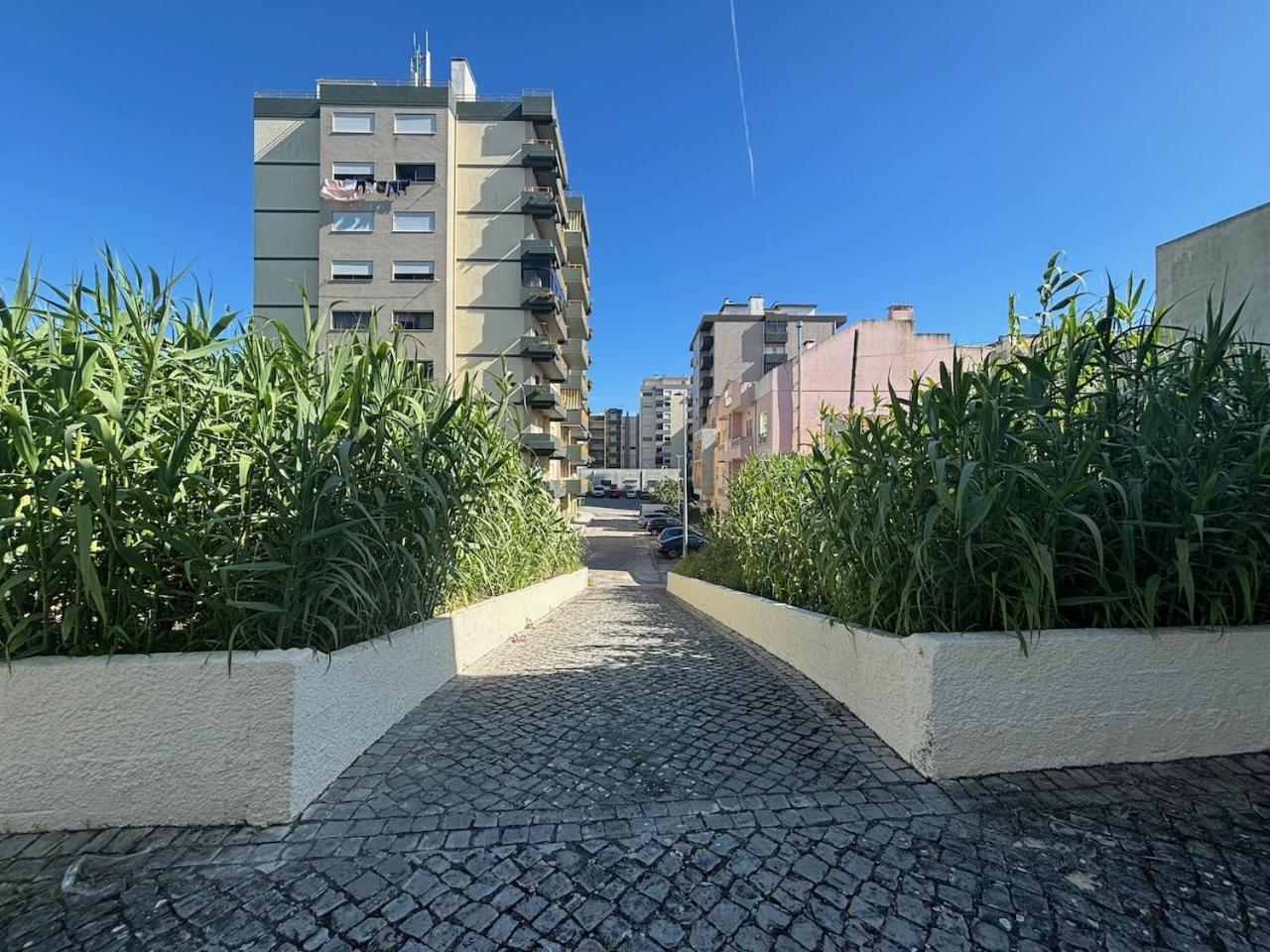 Rosario - Two Bedroom Apart- Buarcos - Figueira Da Foz Zewnętrze zdjęcie